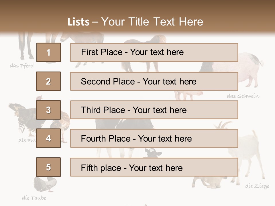 Pigs Poster Livestock PowerPoint Template