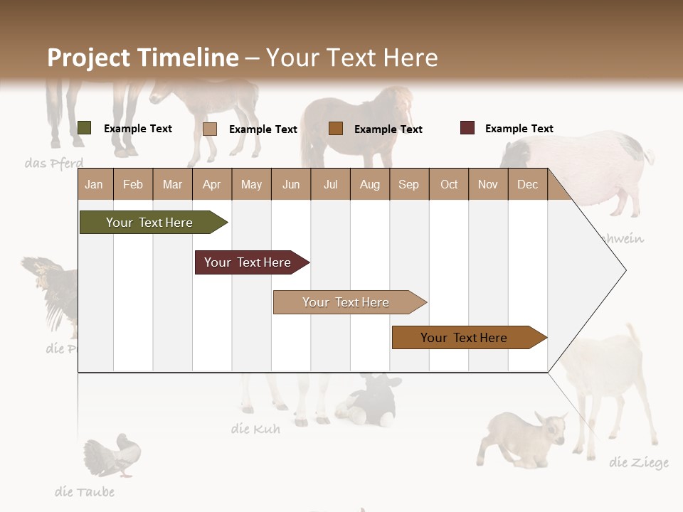 Pigs Poster Livestock PowerPoint Template