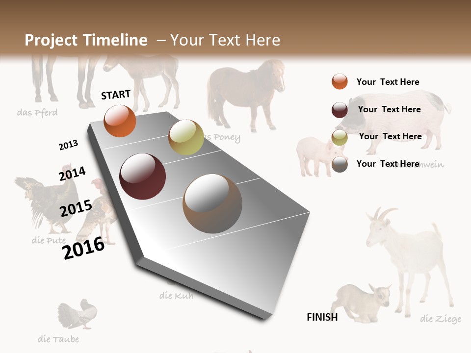 Pigs Poster Livestock PowerPoint Template