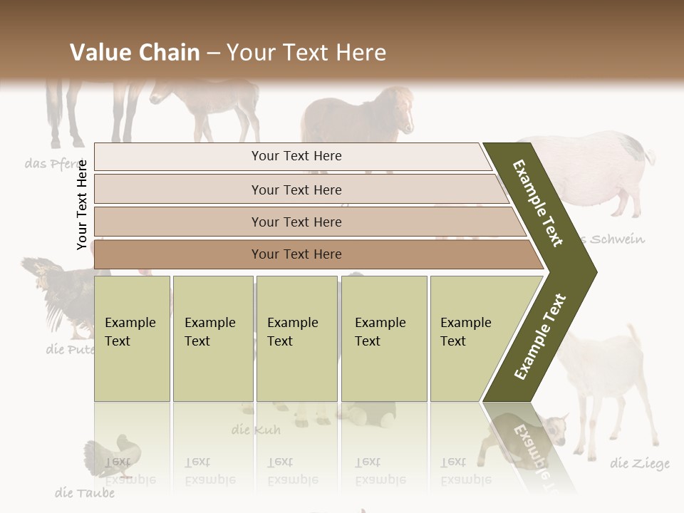 Pigs Poster Livestock PowerPoint Template