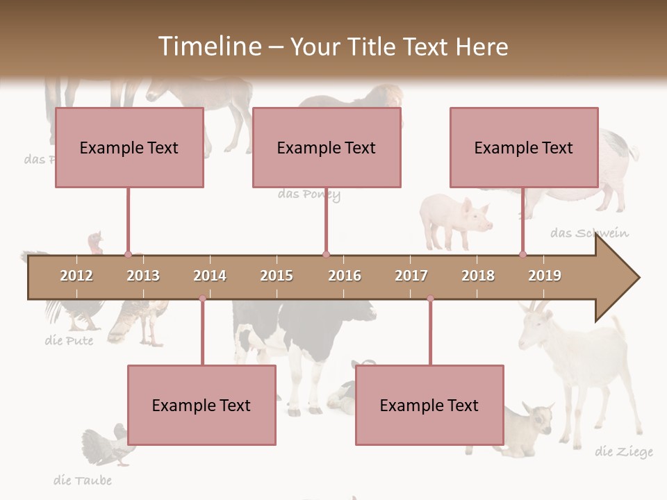 Pigs Poster Livestock PowerPoint Template