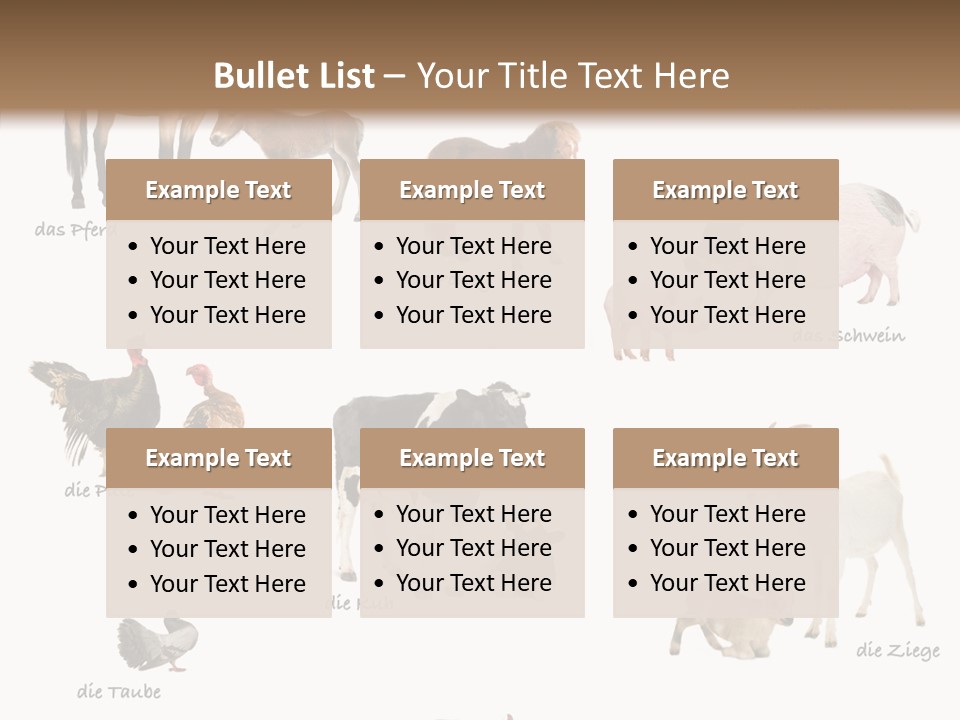 Pigs Poster Livestock PowerPoint Template