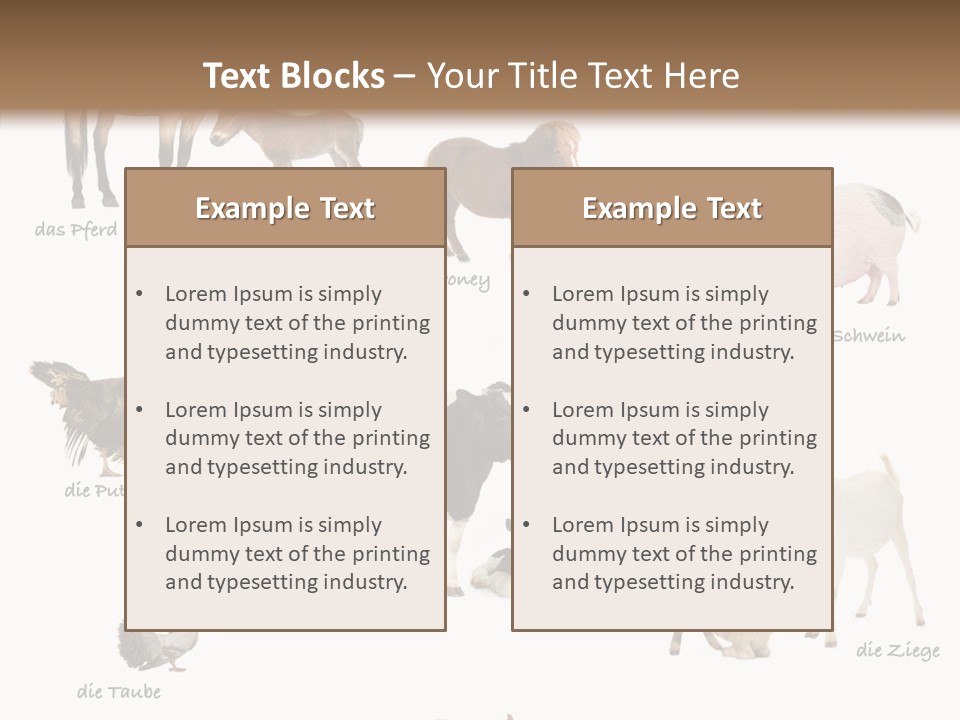 Pigs Poster Livestock PowerPoint Template