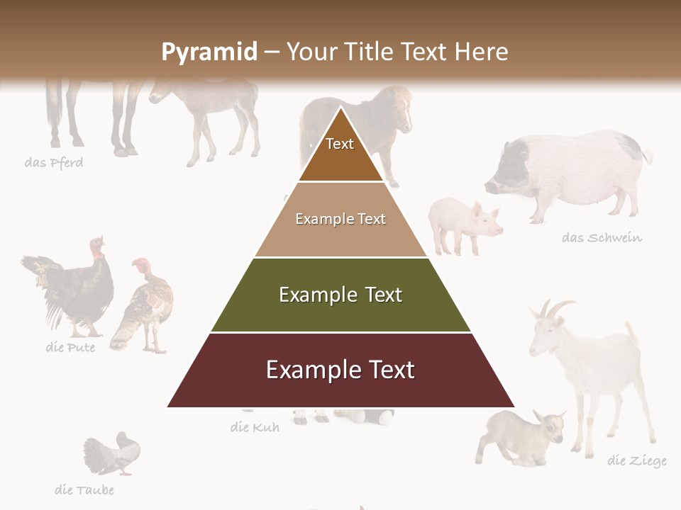 Pigs Poster Livestock PowerPoint Template