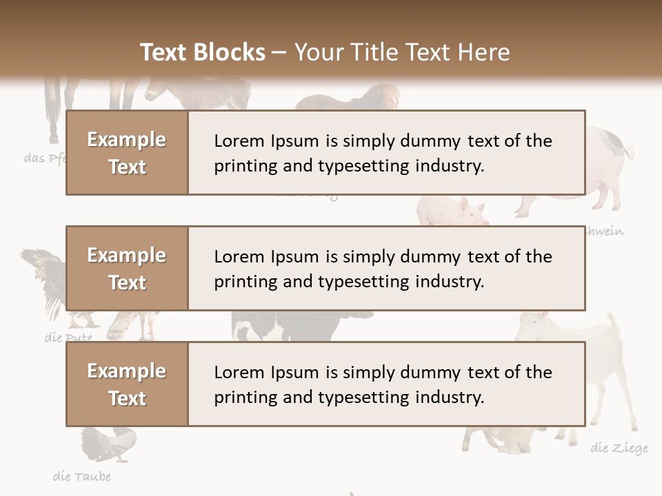 Pigs Poster Livestock PowerPoint Template