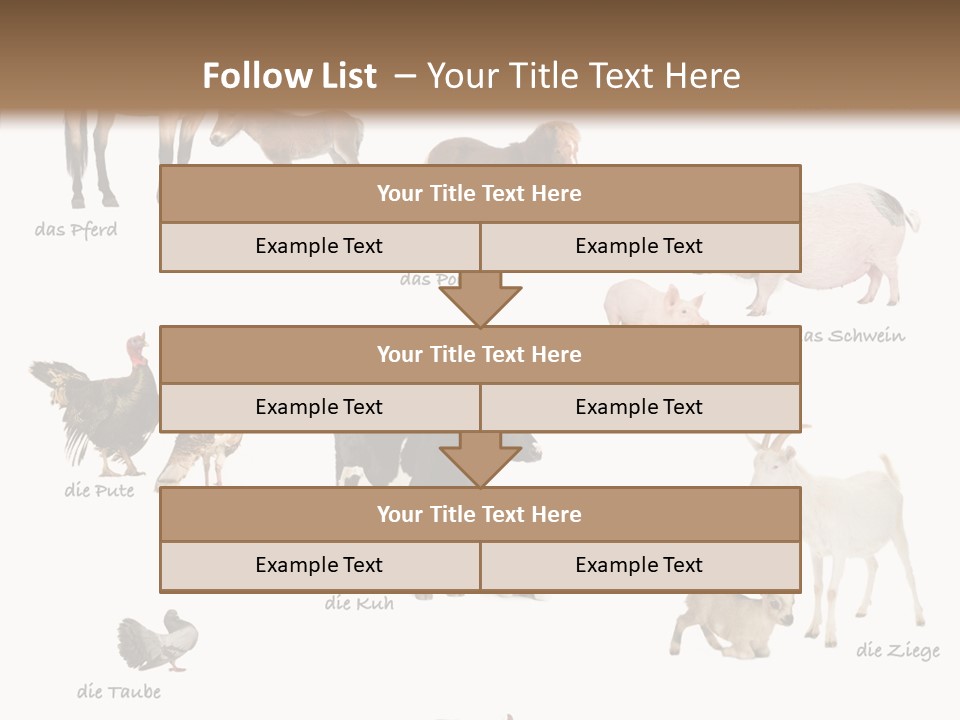 Pigs Poster Livestock PowerPoint Template