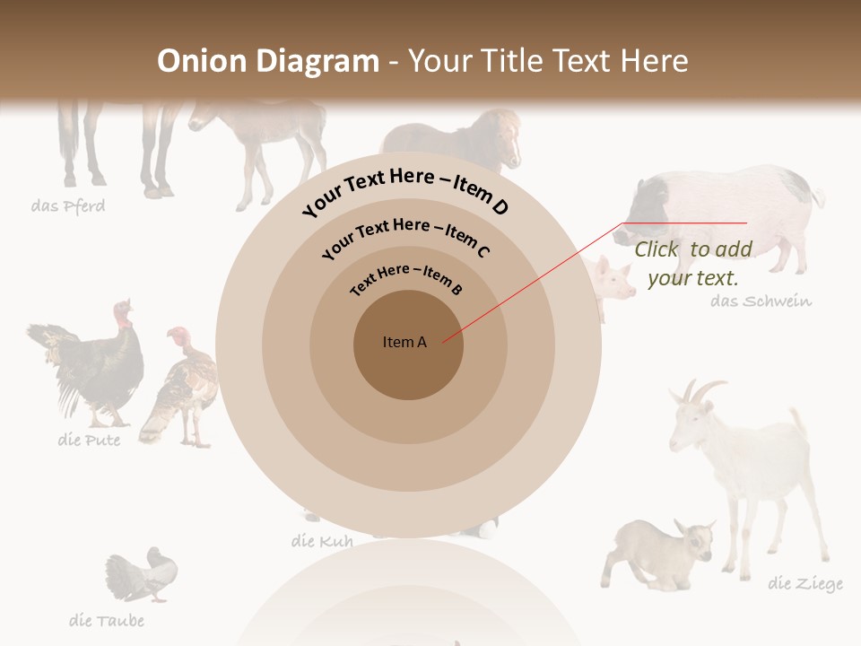 Pigs Poster Livestock PowerPoint Template