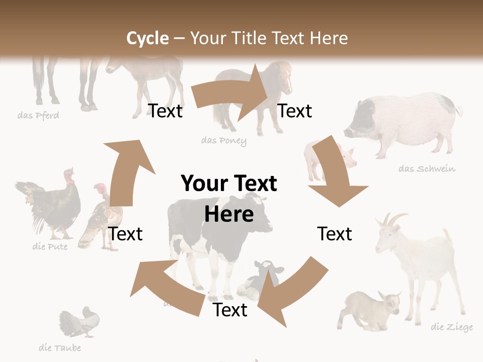 Pigs Poster Livestock PowerPoint Template