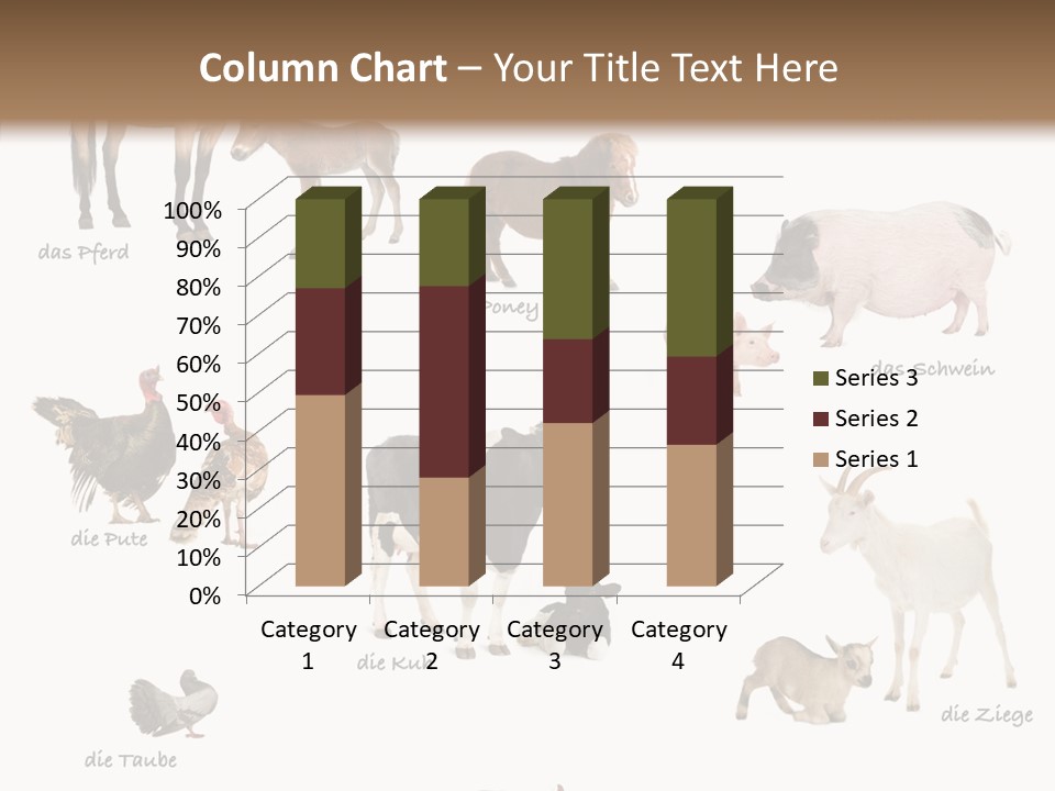 Pigs Poster Livestock PowerPoint Template