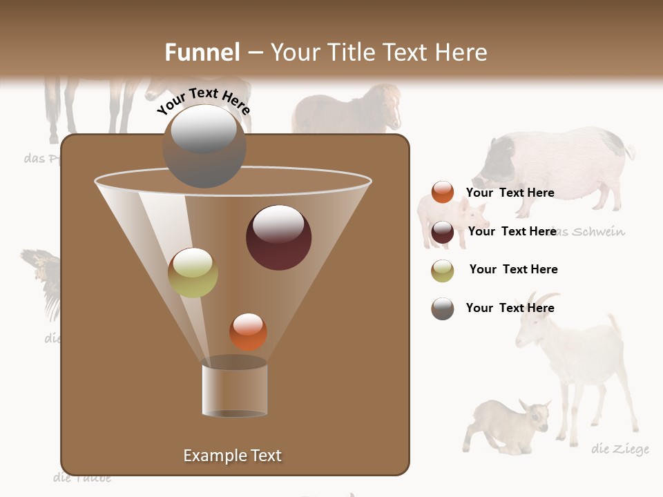 Pigs Poster Livestock PowerPoint Template