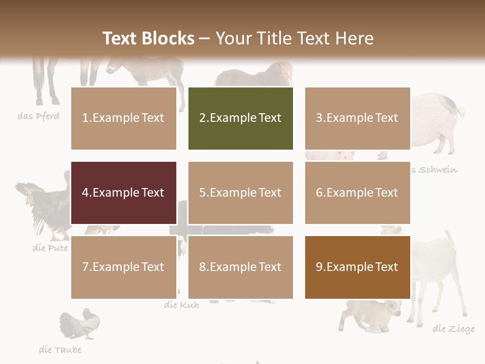 Pigs Poster Livestock PowerPoint Template