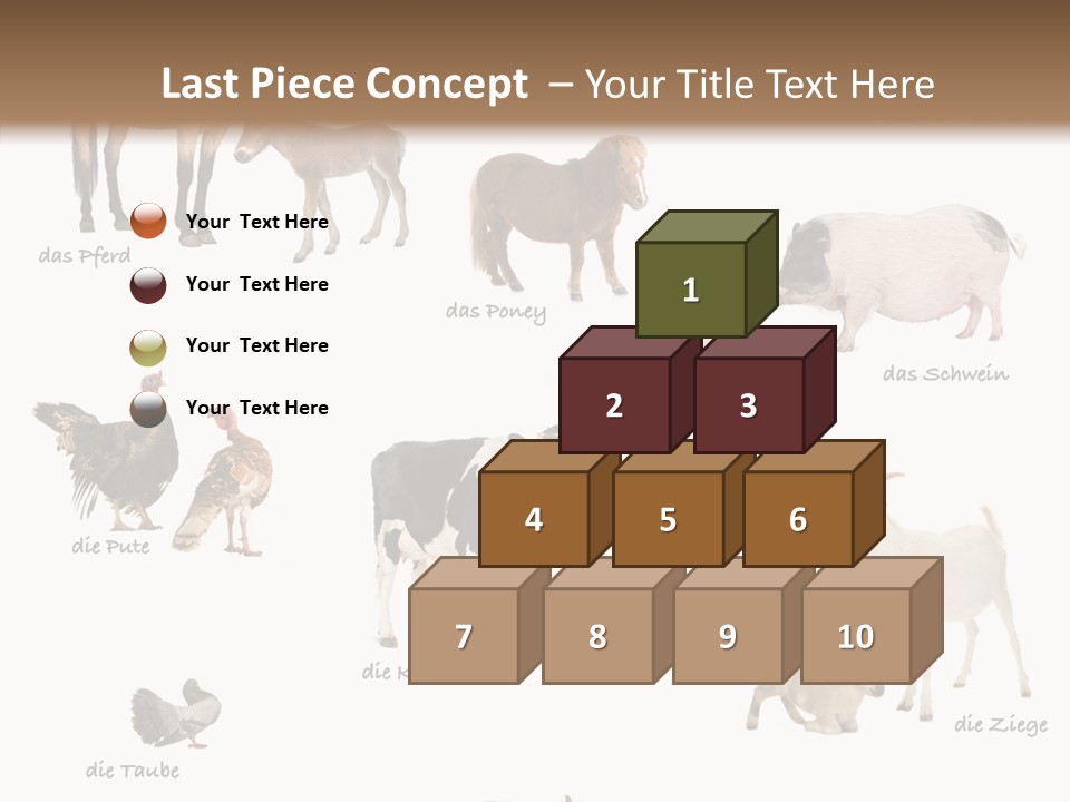 Pigs Poster Livestock PowerPoint Template