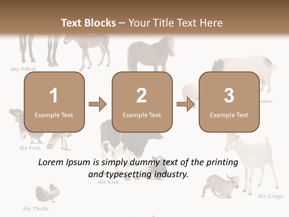 Pigs Poster Livestock PowerPoint Template