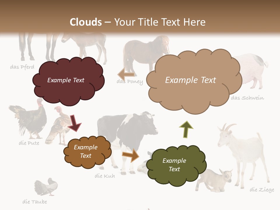 Pigs Poster Livestock PowerPoint Template