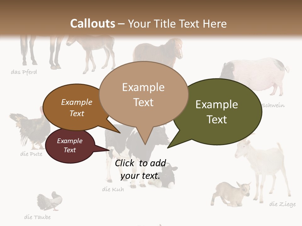 Pigs Poster Livestock PowerPoint Template