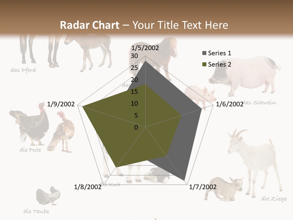 Pigs Poster Livestock PowerPoint Template