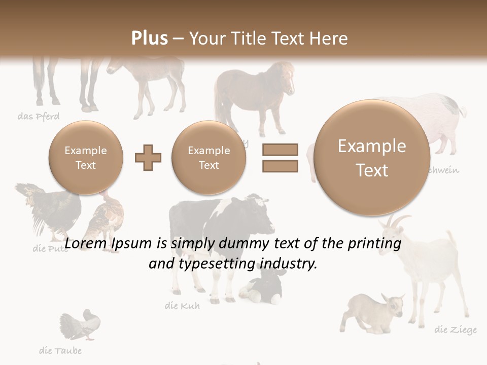 Pigs Poster Livestock PowerPoint Template