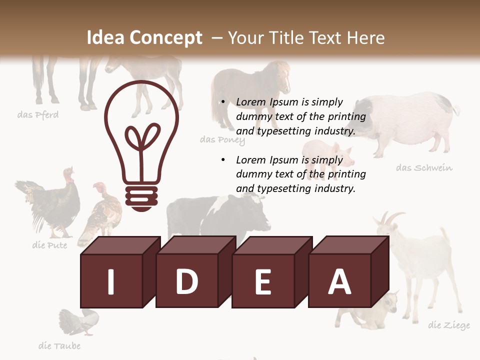 Pigs Poster Livestock PowerPoint Template