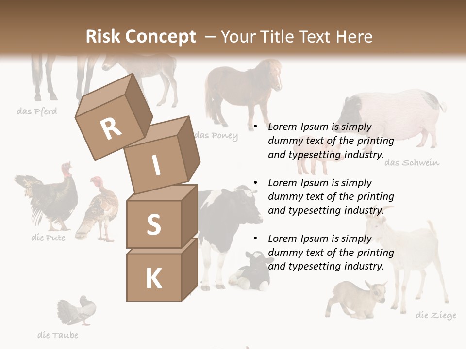 Pigs Poster Livestock PowerPoint Template