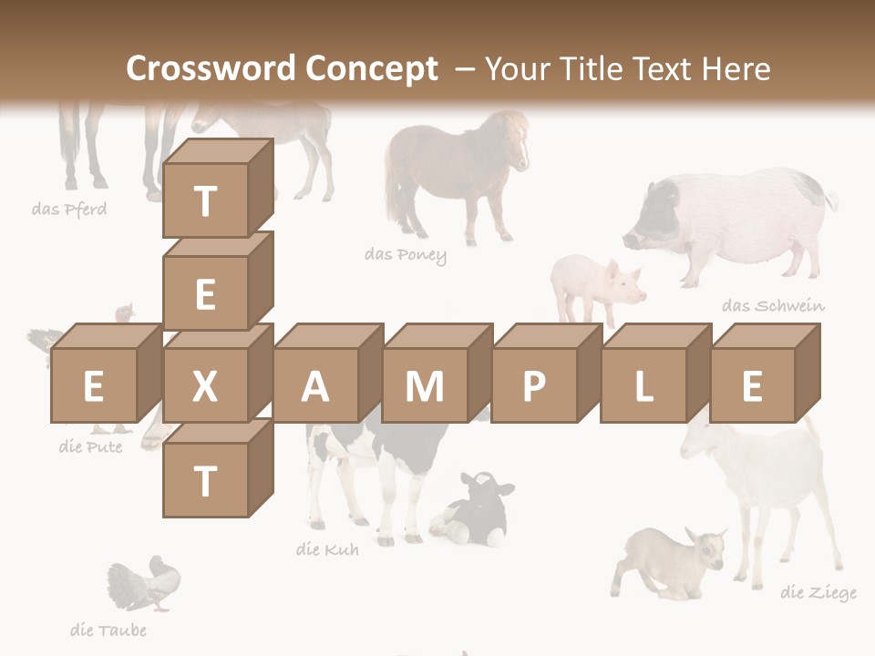 Pigs Poster Livestock PowerPoint Template