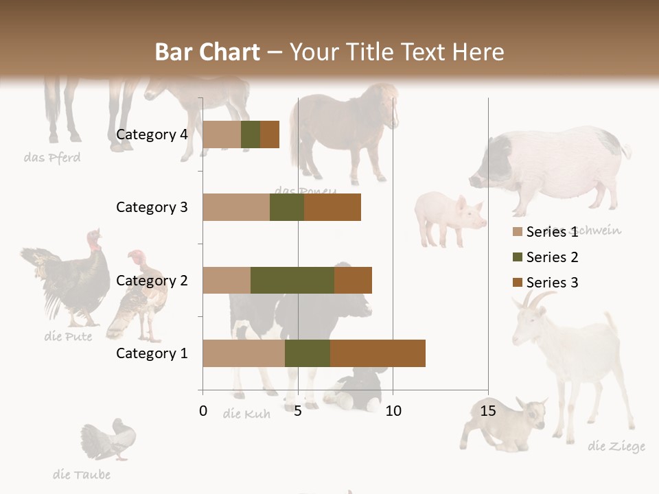 Pigs Poster Livestock PowerPoint Template