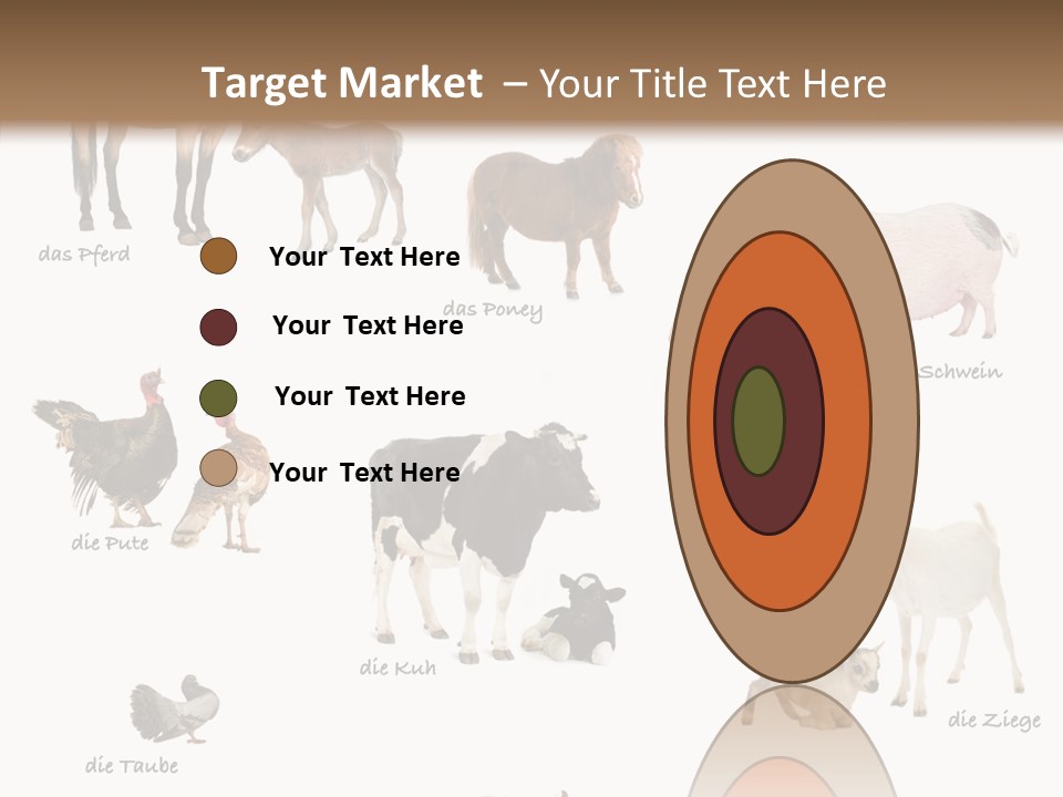 Pigs Poster Livestock PowerPoint Template