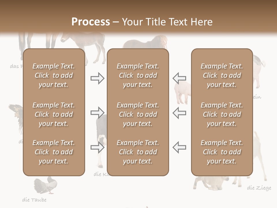 Pigs Poster Livestock PowerPoint Template