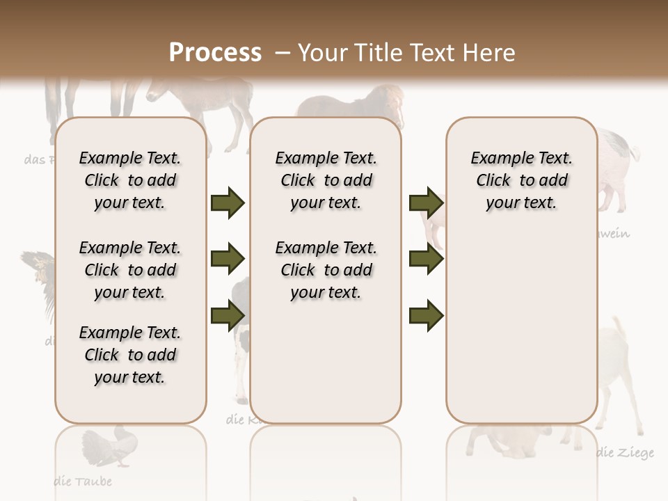 Pigs Poster Livestock PowerPoint Template