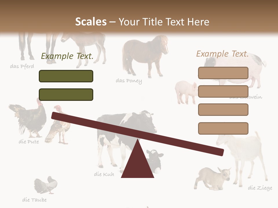 Pigs Poster Livestock PowerPoint Template