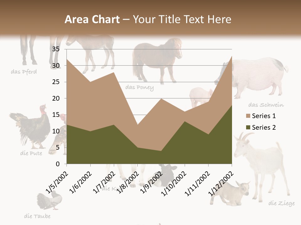 Pigs Poster Livestock PowerPoint Template