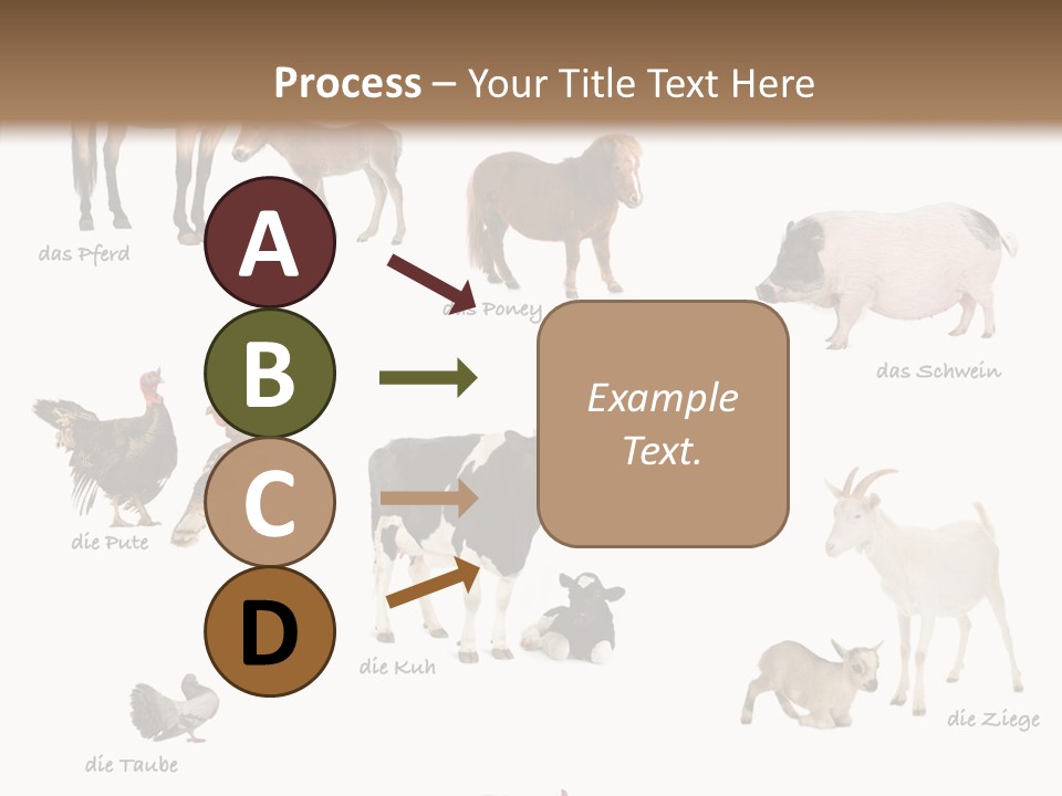 Pigs Poster Livestock PowerPoint Template