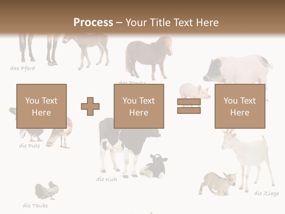 Pigs Poster Livestock PowerPoint Template