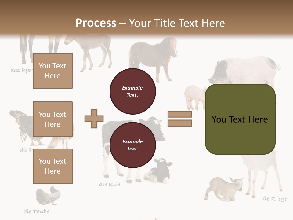 Pigs Poster Livestock PowerPoint Template