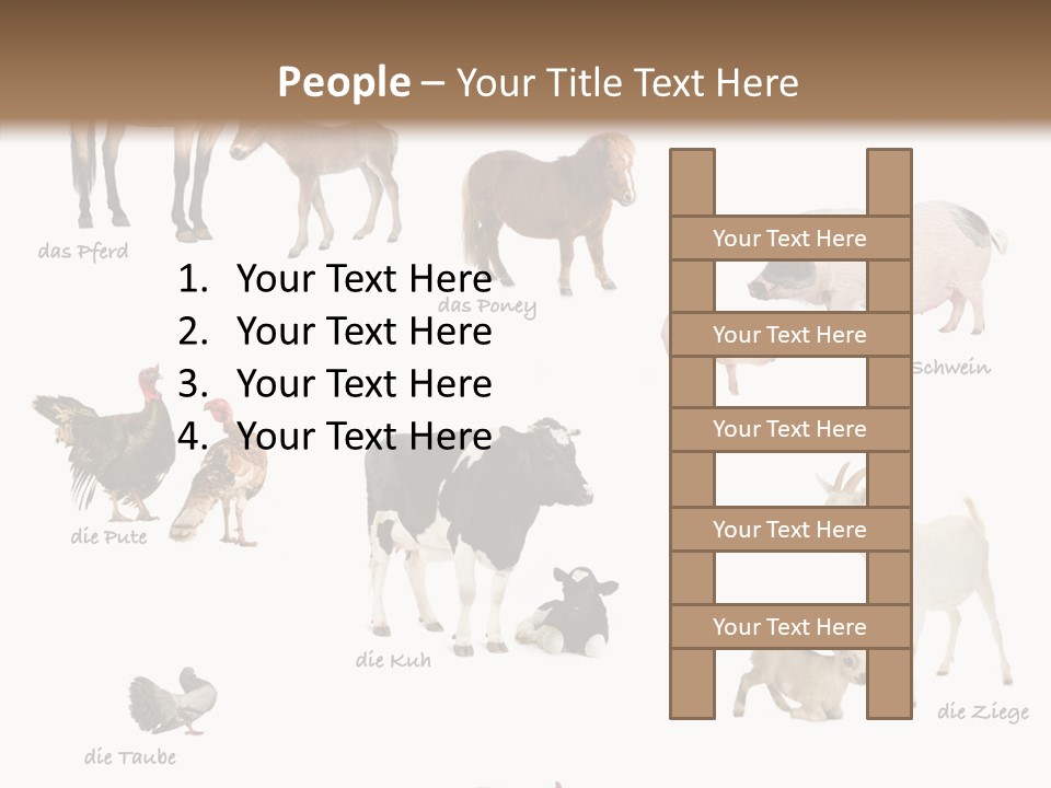 Pigs Poster Livestock PowerPoint Template