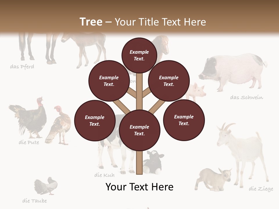 Pigs Poster Livestock PowerPoint Template