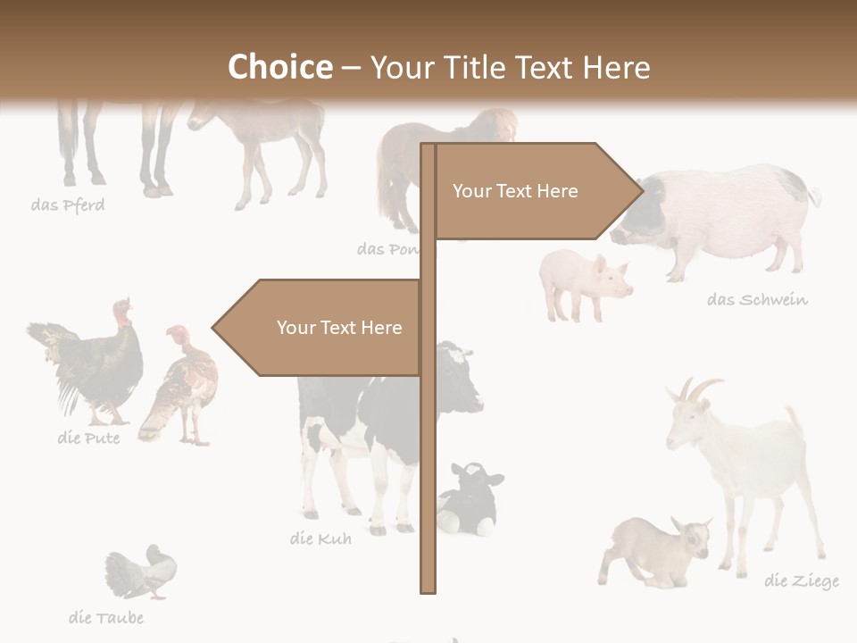 Pigs Poster Livestock PowerPoint Template