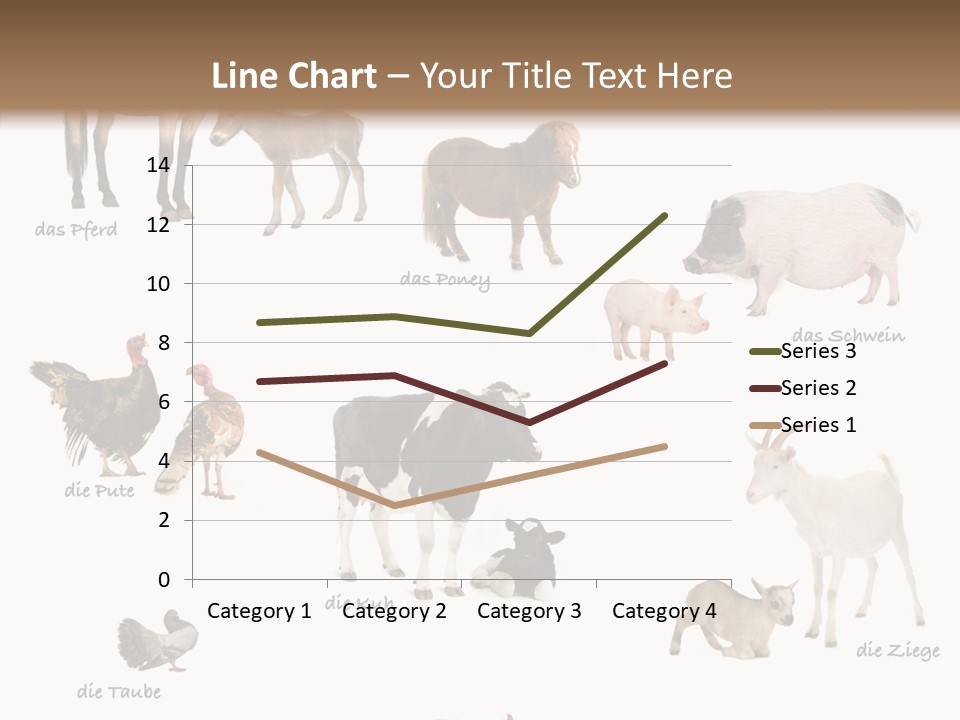 Pigs Poster Livestock PowerPoint Template