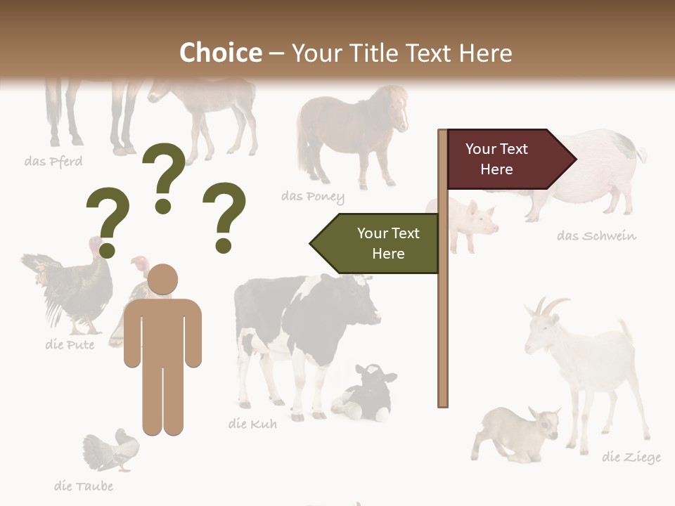 Pigs Poster Livestock PowerPoint Template