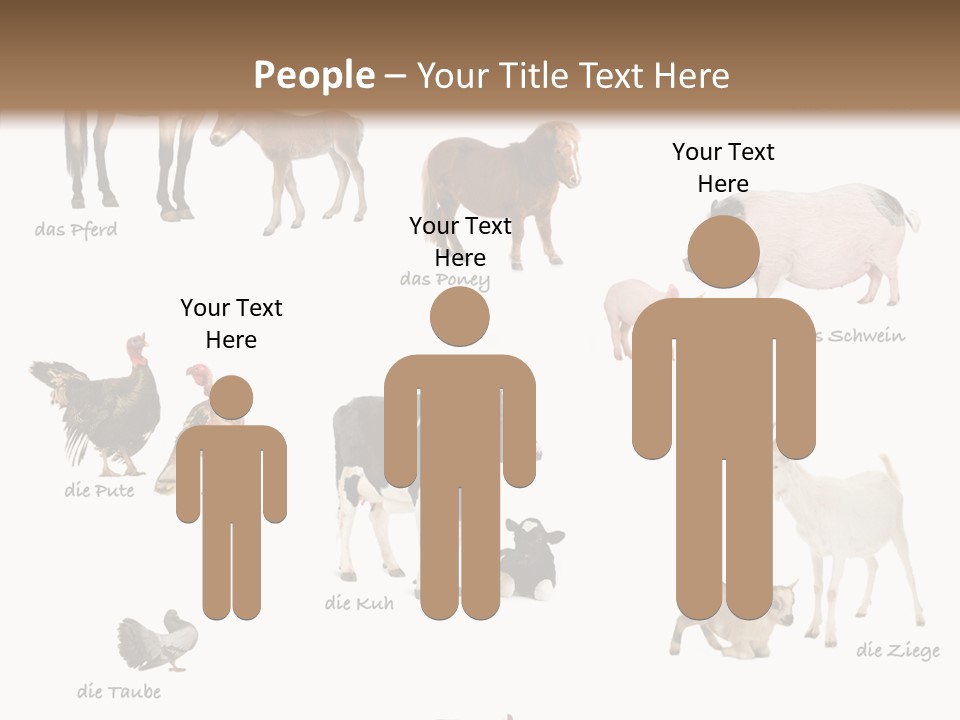 Pigs Poster Livestock PowerPoint Template