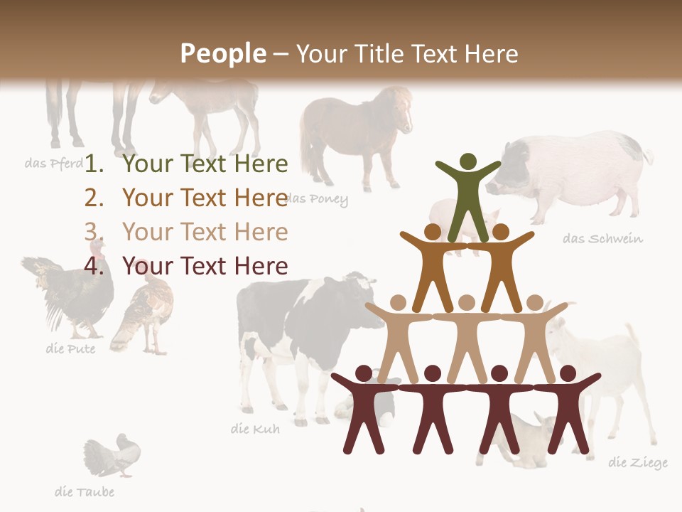 Pigs Poster Livestock PowerPoint Template