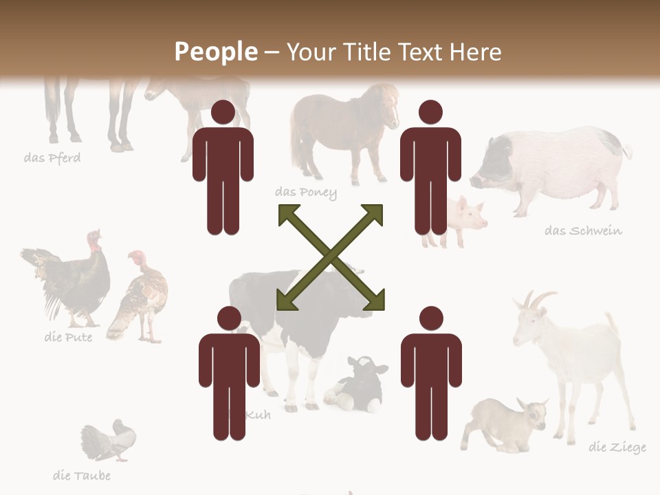 Pigs Poster Livestock PowerPoint Template