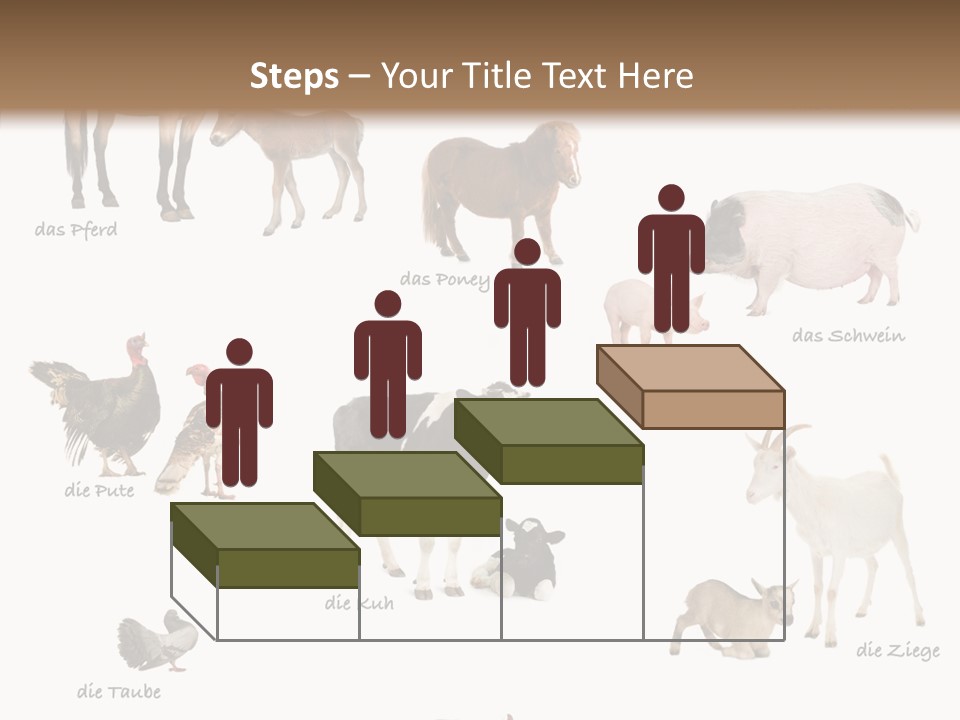 Pigs Poster Livestock PowerPoint Template