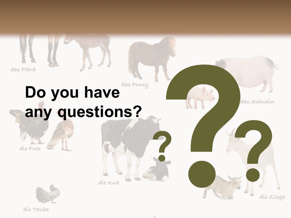 Pigs Poster Livestock PowerPoint Template