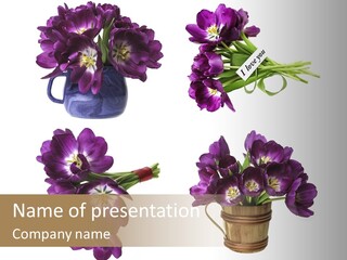 Isolated Decoration Spring PowerPoint Template
