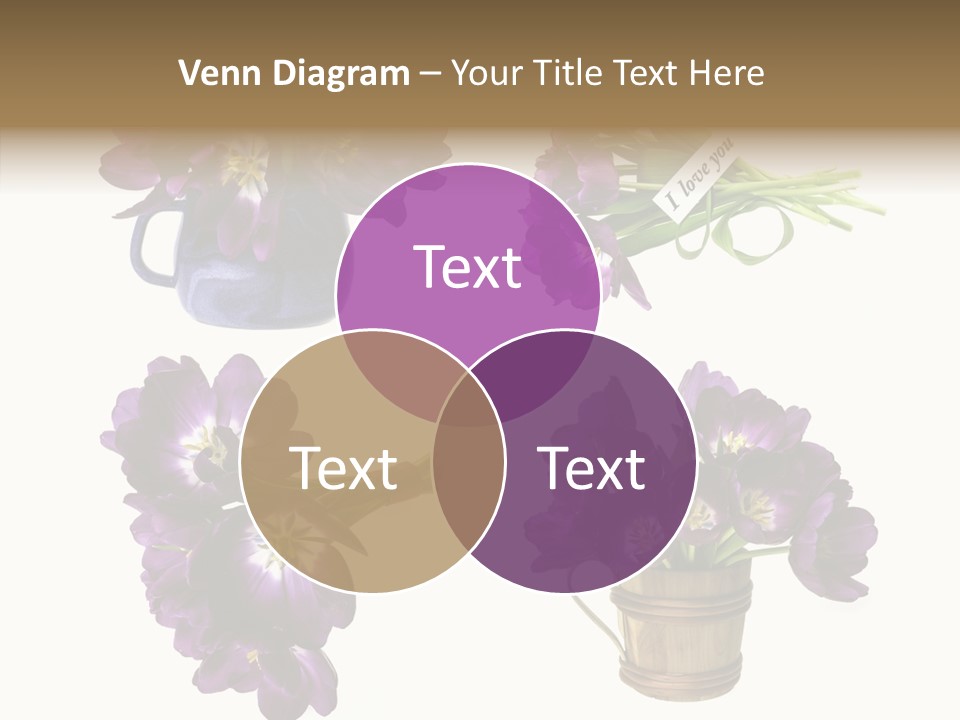 Isolated Decoration Spring PowerPoint Template