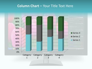 System Internet Connection PowerPoint Template