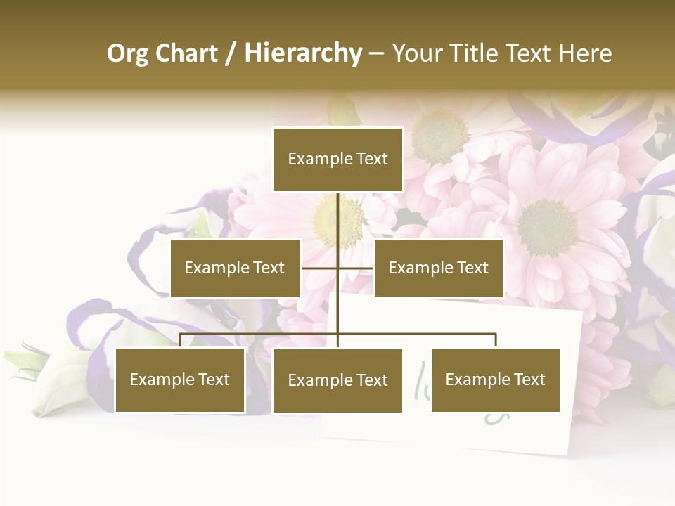 Flower Spring Chrysanthemums PowerPoint Template