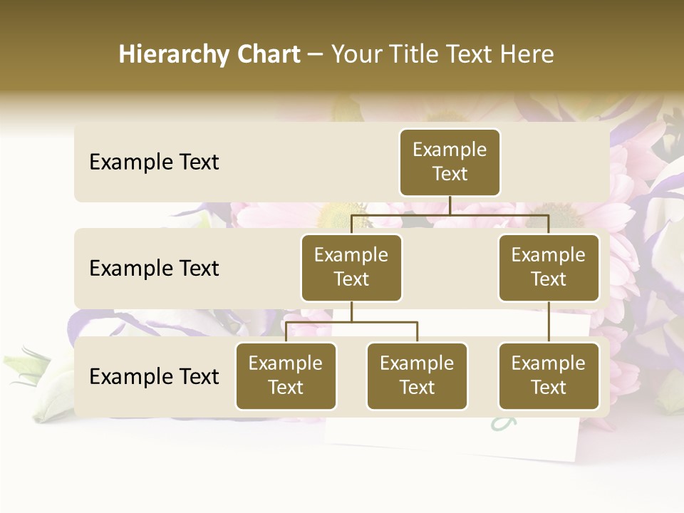 Flower Spring Chrysanthemums PowerPoint Template