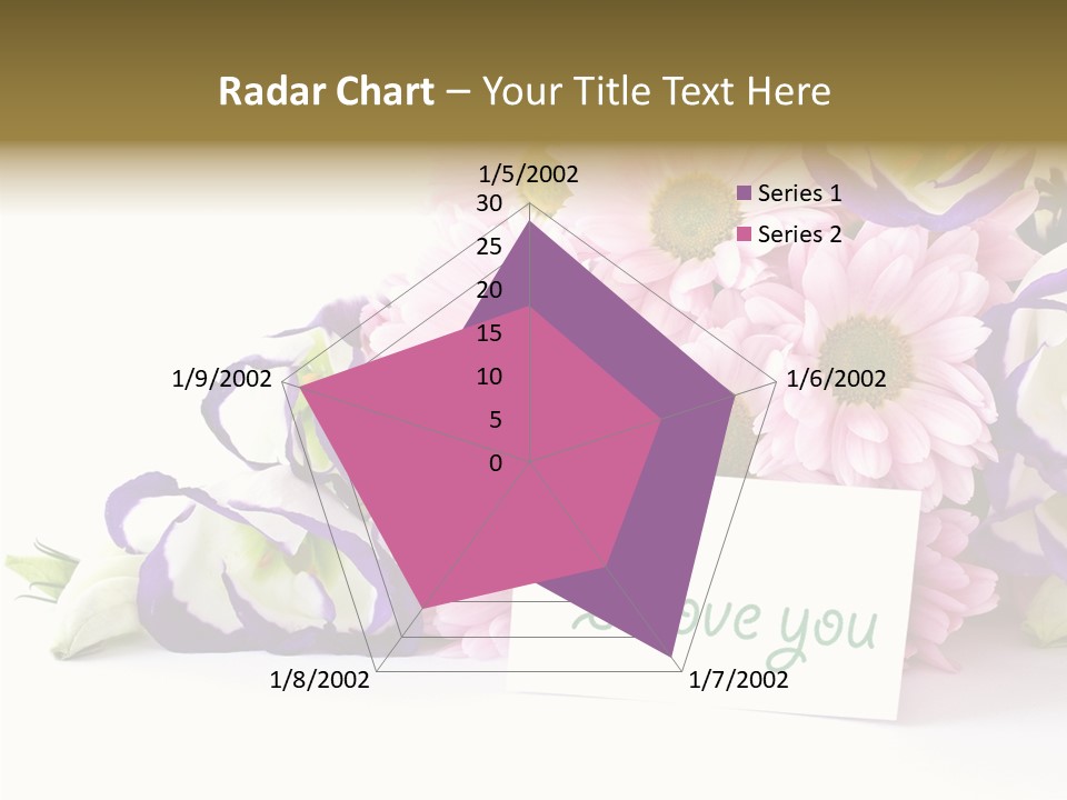 Flower Spring Chrysanthemums PowerPoint Template