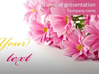 Beautiful Seasonal Spring PowerPoint Template